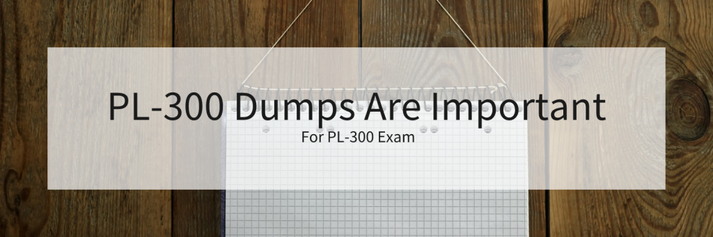 PL-300 Dumps