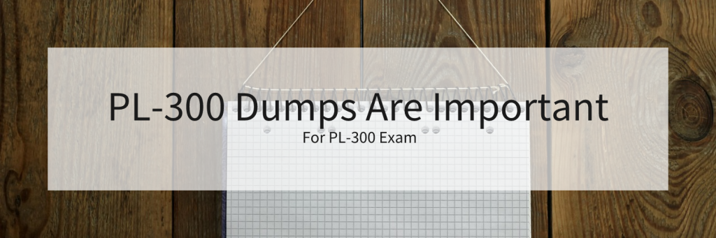 PL-300 Dumps 